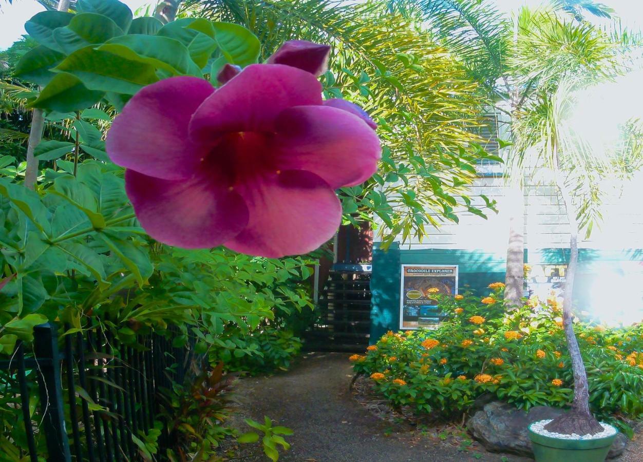 Travellers Paradise Hostel Cairns Exterior photo